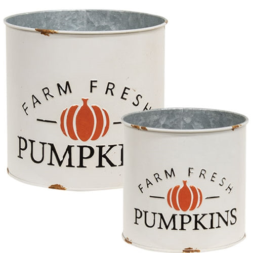 Distressed Metal Farm Fresh Pumpkins Buckets