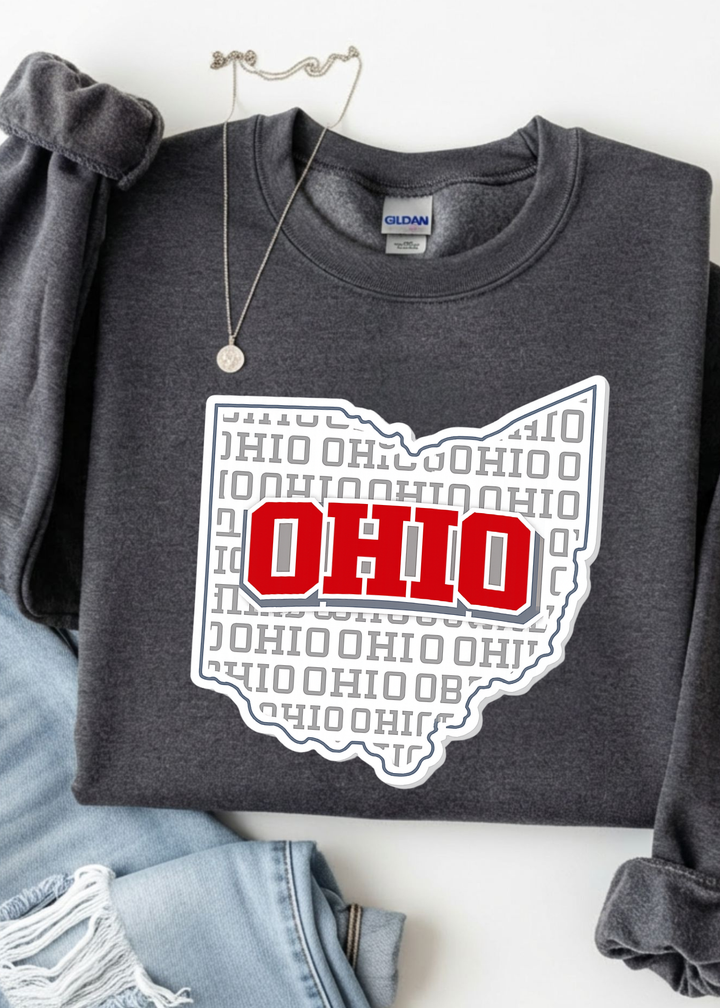 Ohio Graphic Tee or Sweatshirt