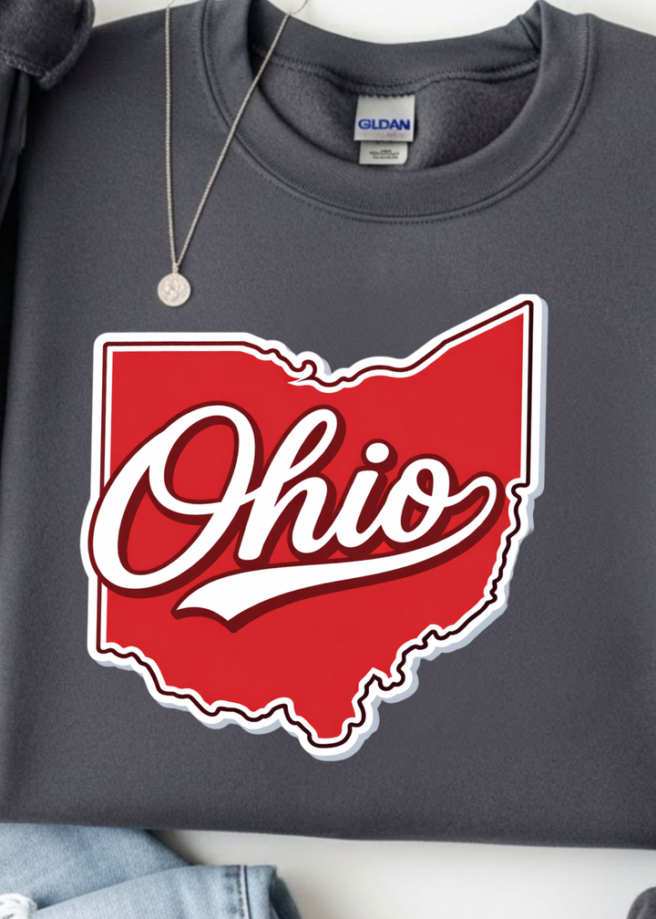 Ohio Graphic Tee or Sweatshirt