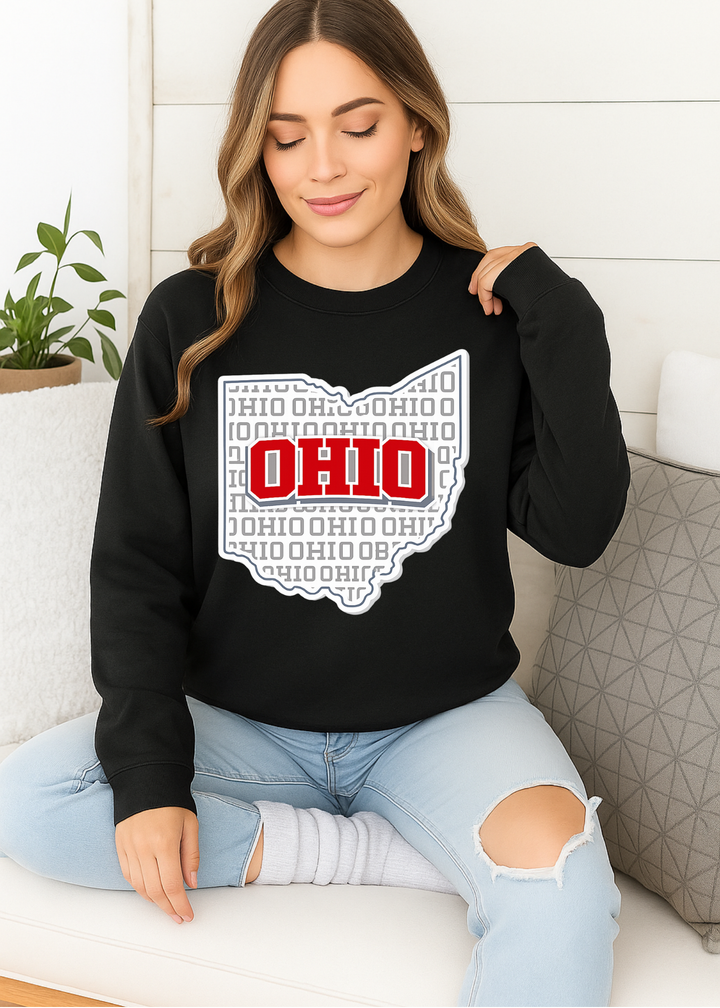 Ohio Graphic Tee or Sweatshirt