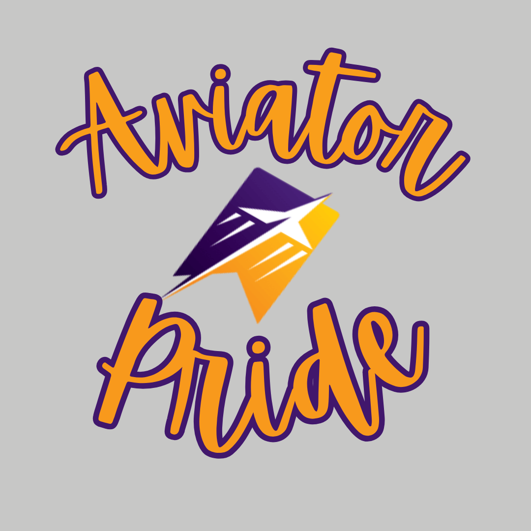 MADE TO ORDER - AVIATORS GRAPHIC TEE
