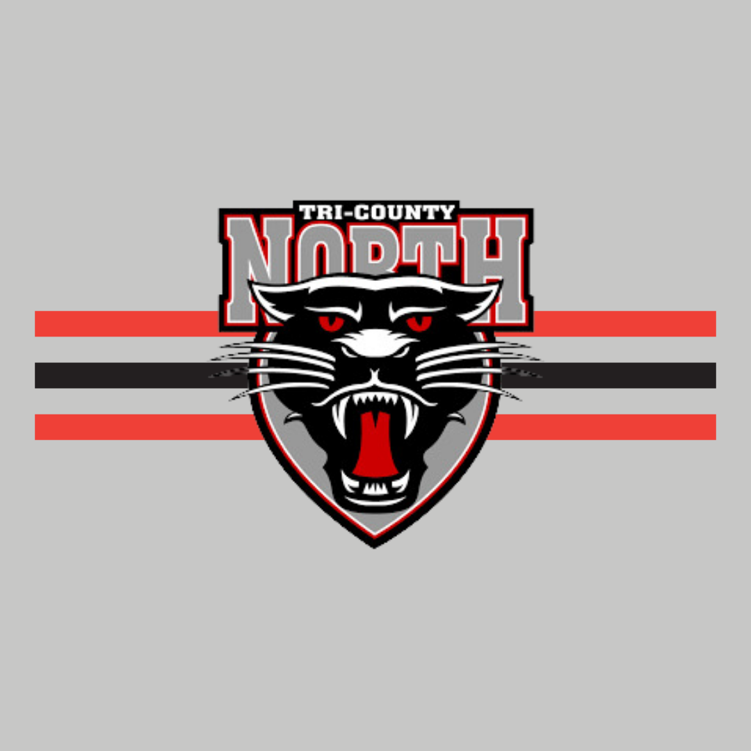 MADE TO ORDER - PANTHERS