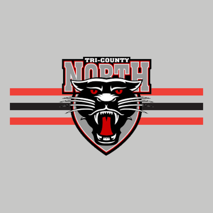 MADE TO ORDER - PANTHERS